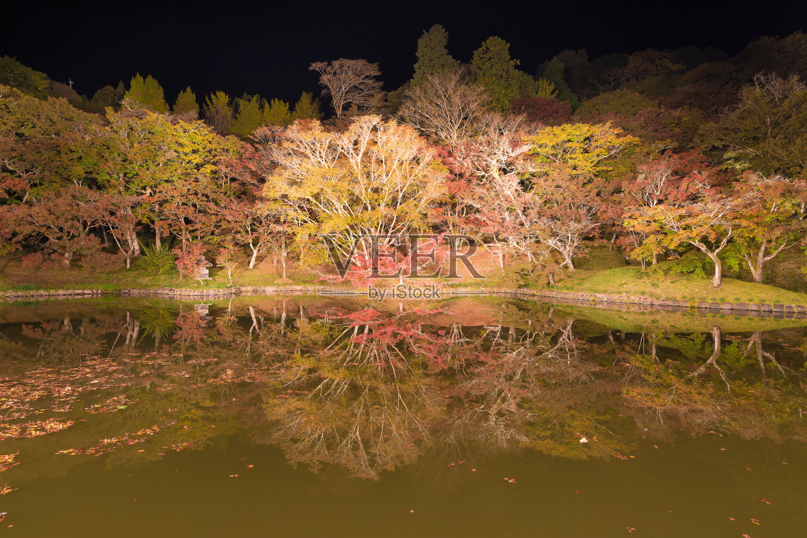 秋季的夕照公园（大分县丰后大野市）的秋叶灯饰照片摄影图片