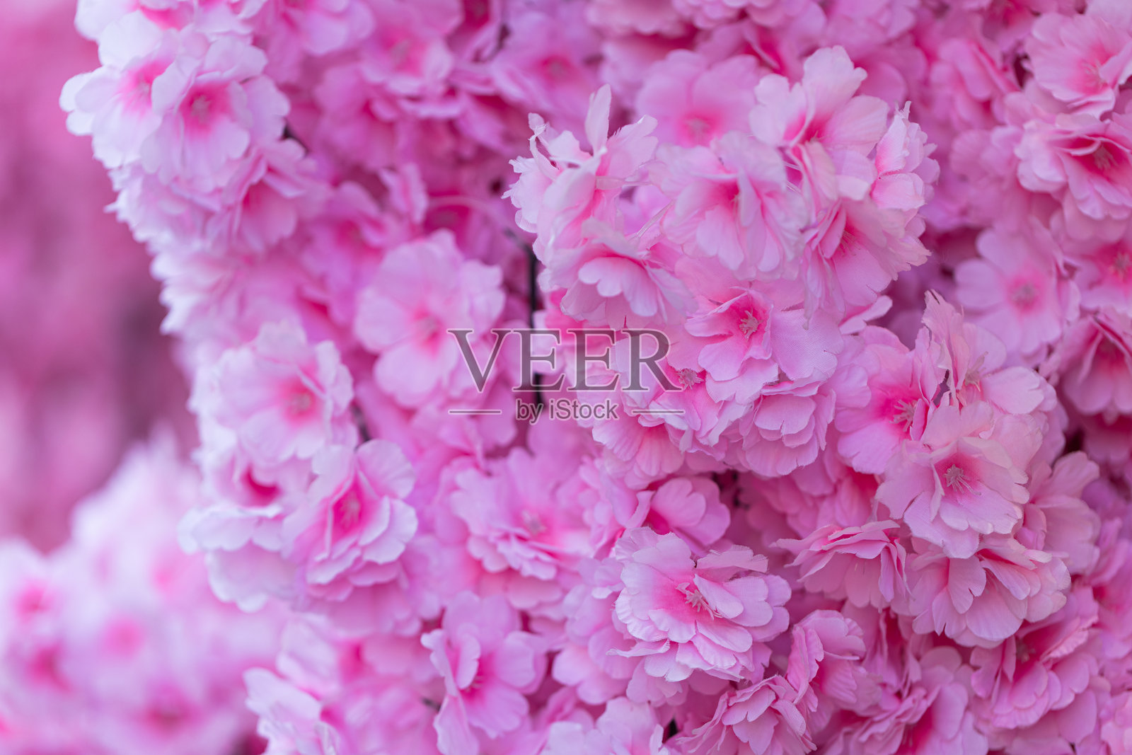 抽象粉色花卉背景照片摄影图片