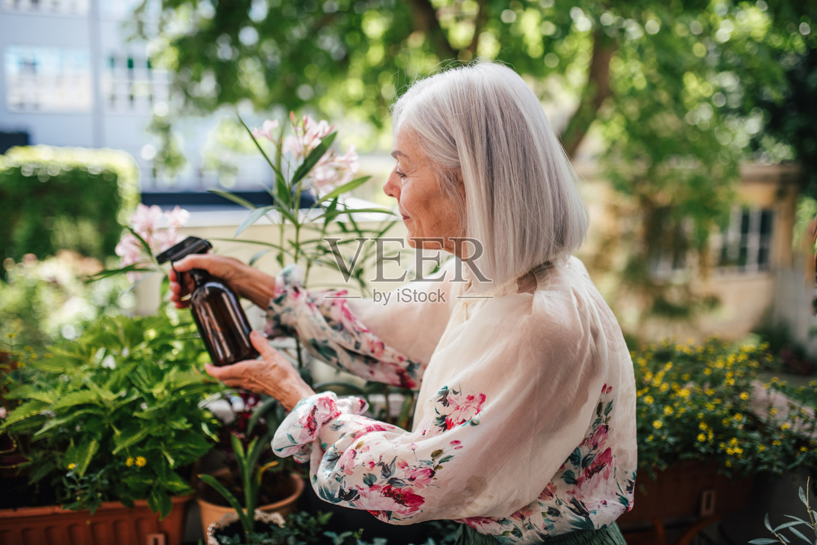 一位年长的女士站在阳台上，照料着植物。照片摄影图片