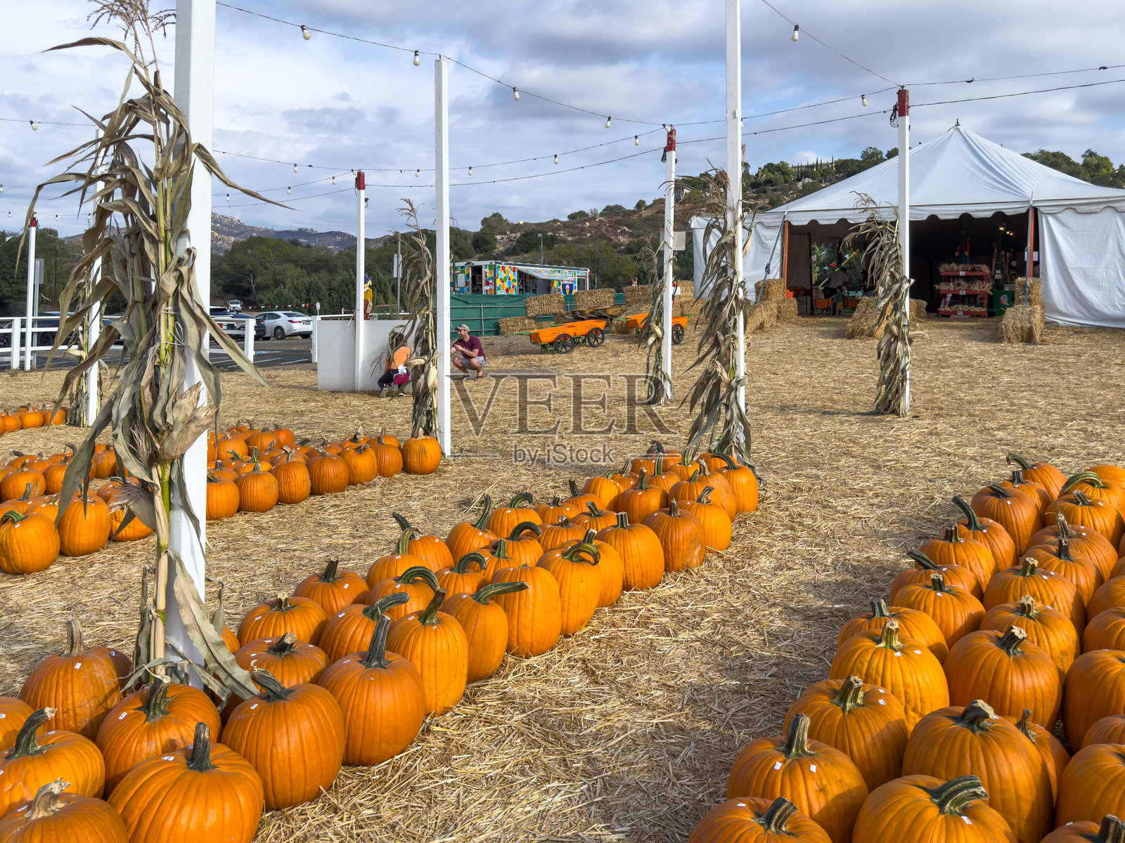 秋季南瓜采摘节冒险。家庭食品摊和游乐设施,圣地亚哥照片摄影图片