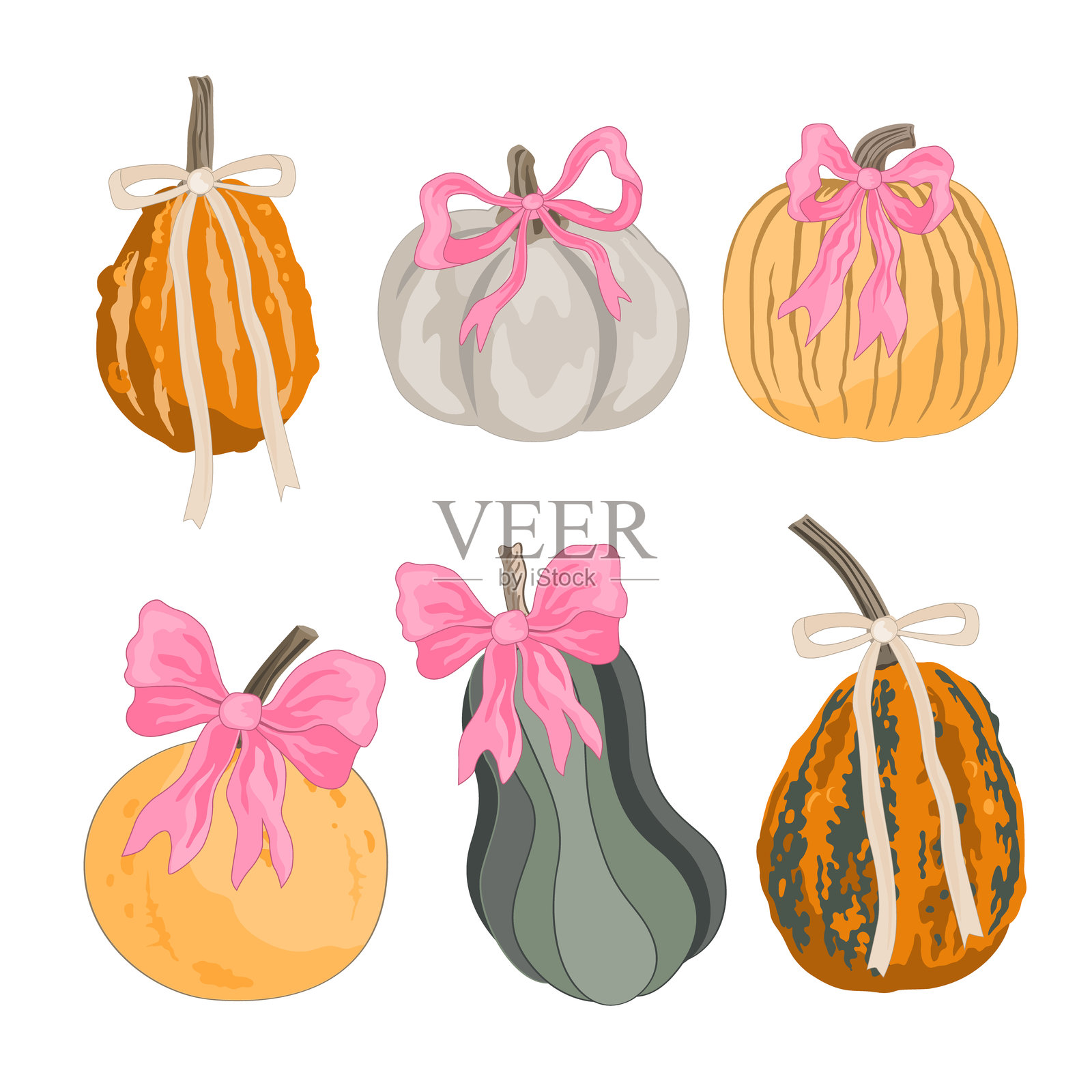 一套迷人的秋季南瓜，带有蝴蝶结。秋季感恩节或万圣节装饰的概念。矢量独立插图插画图片素材