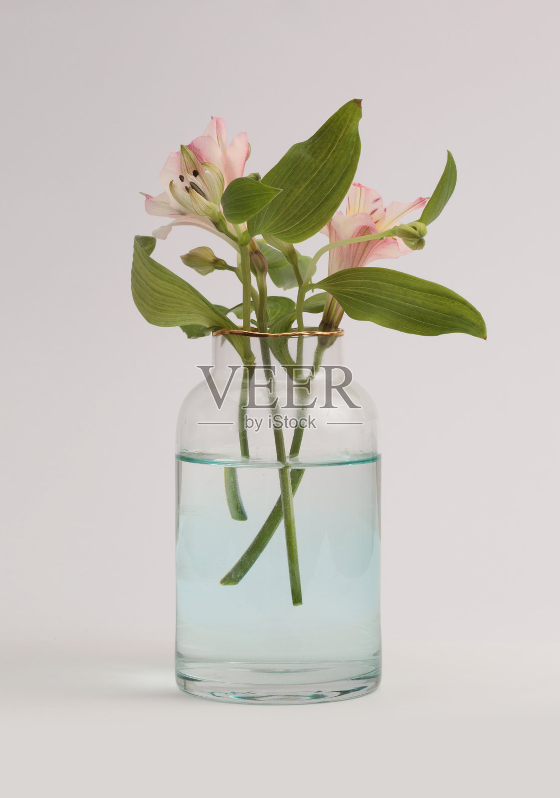 粉色萱草（Alstroemeria）百合花，置于瓶中花瓶，背景为灰色中性色调，带有浅浅的阴影。照片摄影图片