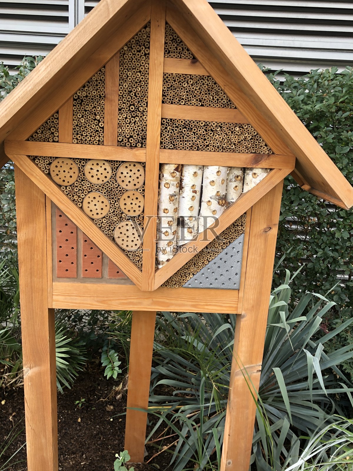 昆虫旅馆照片摄影图片