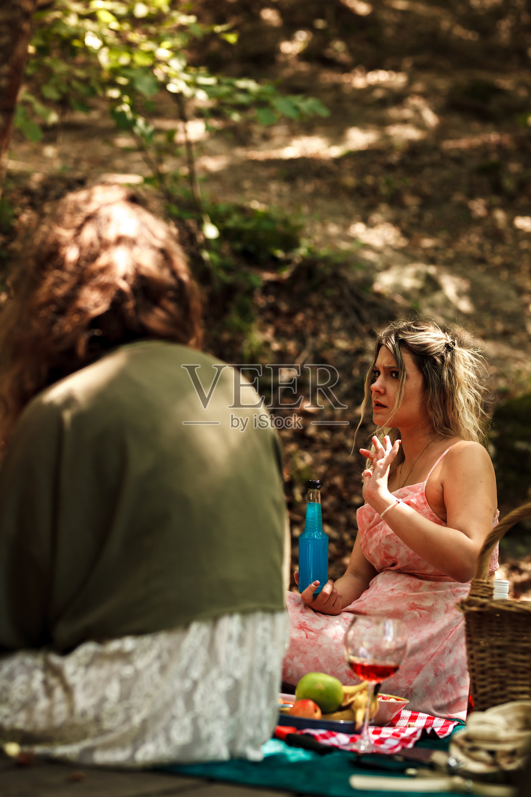 两个朋友在阳光明媚的下午于树林中野餐，他们正进行着热烈的交谈，四周环绕着大自然的美景。照片摄影图片