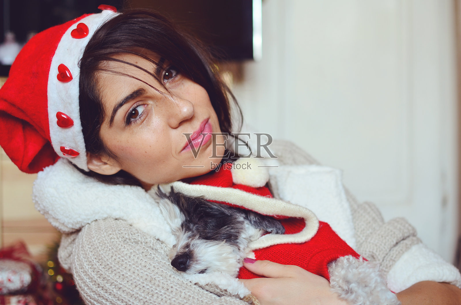 戴着圣诞帽的美丽女子与她的哈瓦那犬拥抱照片摄影图片