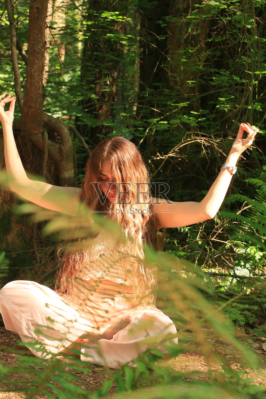 回归自然照片摄影图片