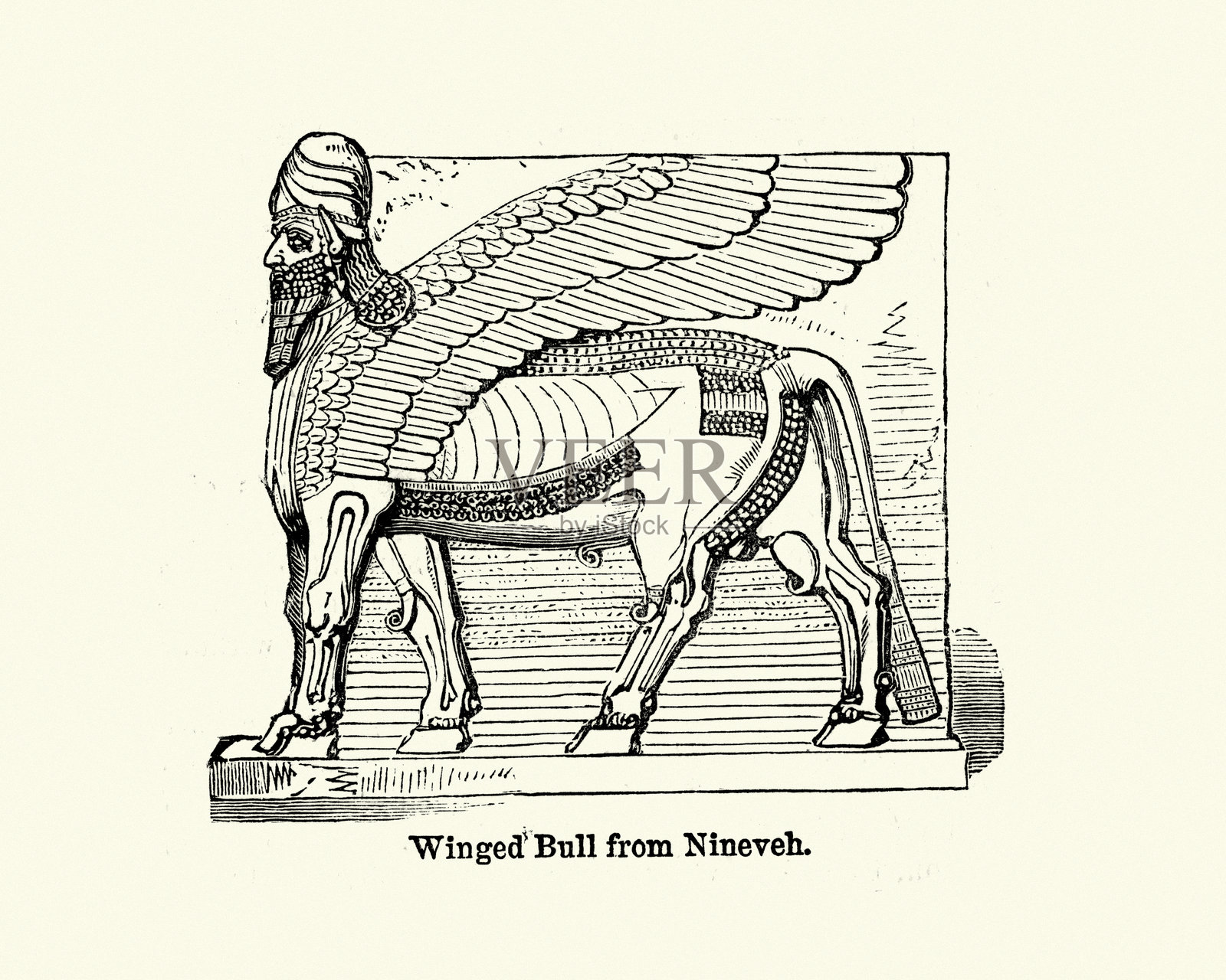 尼尼微亚述艺术：带翼公牛插画图片素材