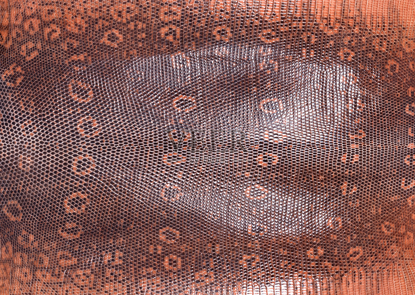 皮革纹理照片摄影图片