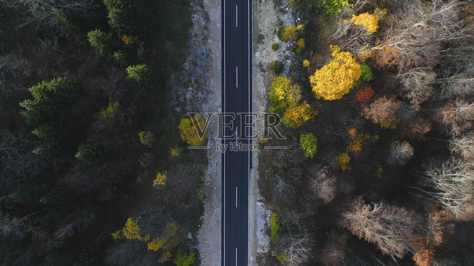 秋季森林公路，汽车，航拍无人机视角照片摄影图片
