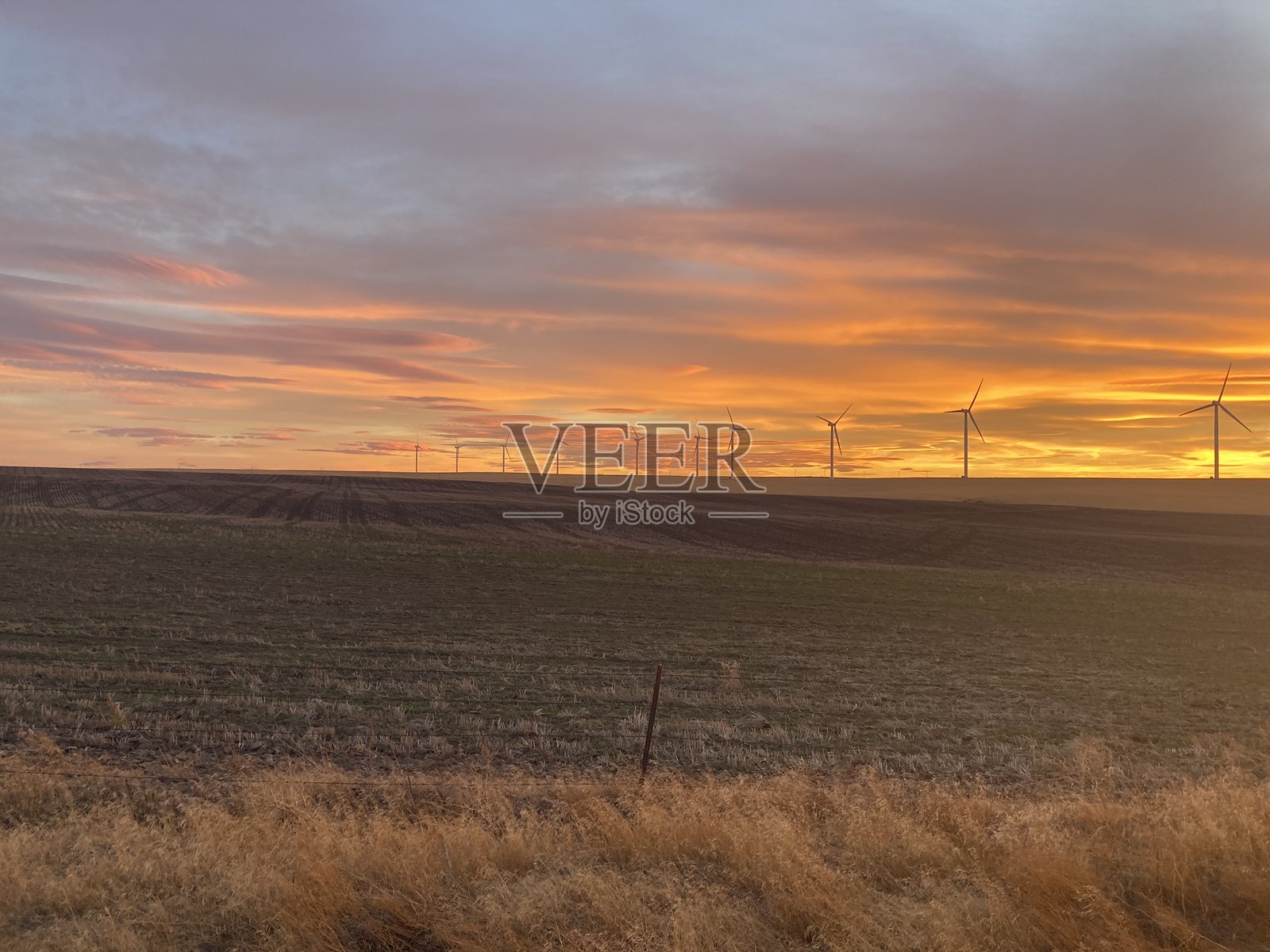 日落时分培育的农田景观照片摄影图片