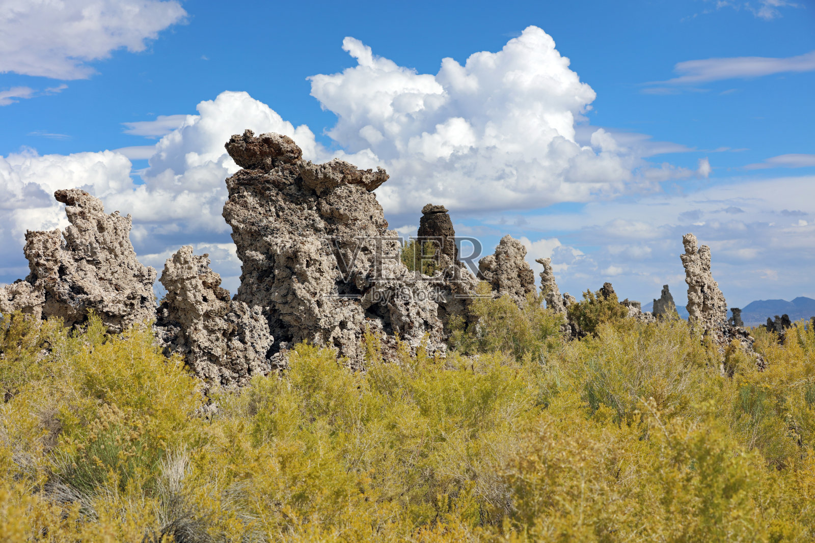 离开水面的图法照片摄影图片
