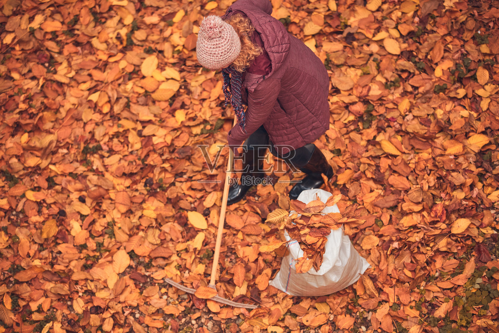 女人在打扫花园，清理落下的秋叶。照片摄影图片