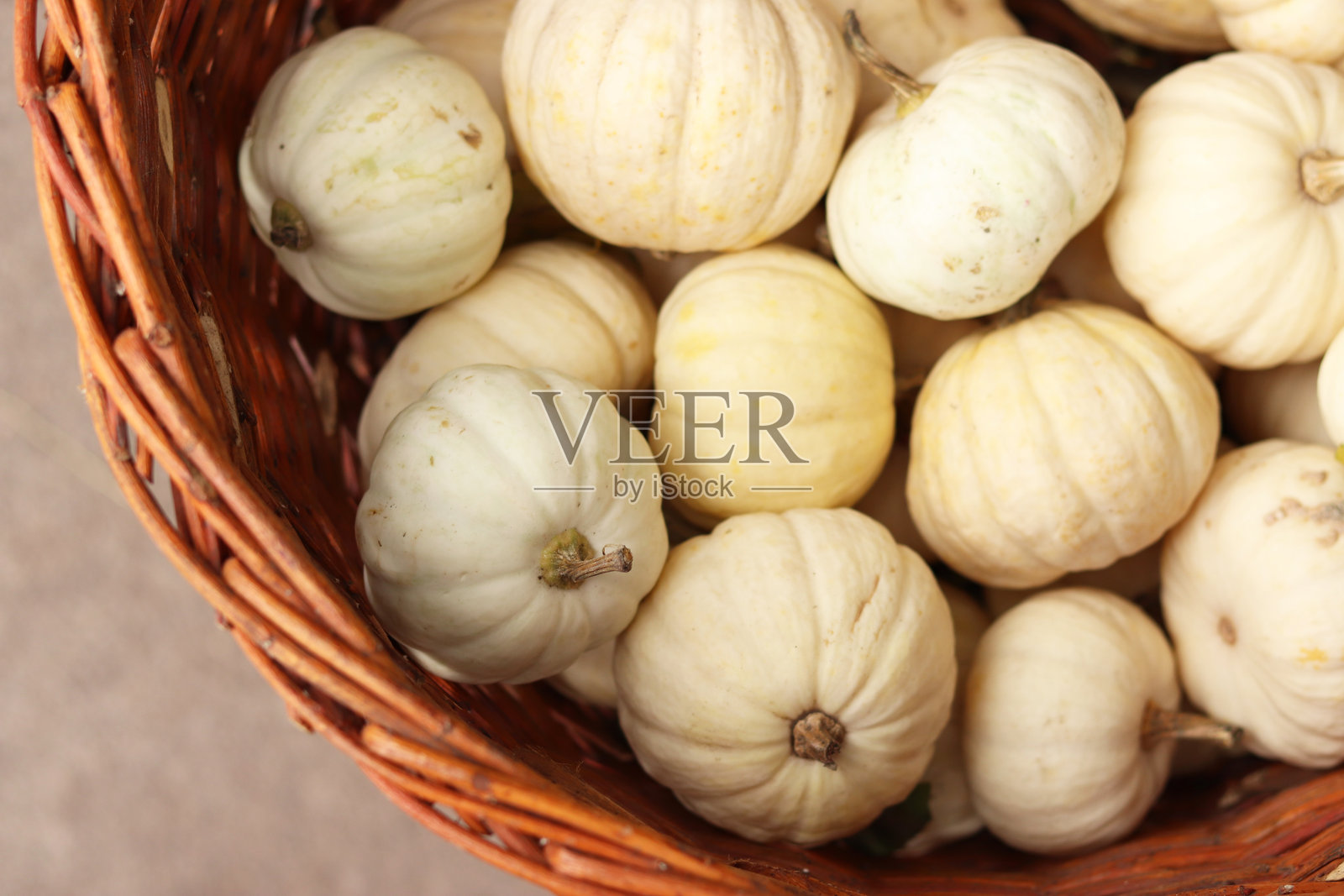 白色装饰南瓜，特写。感恩节照片摄影图片