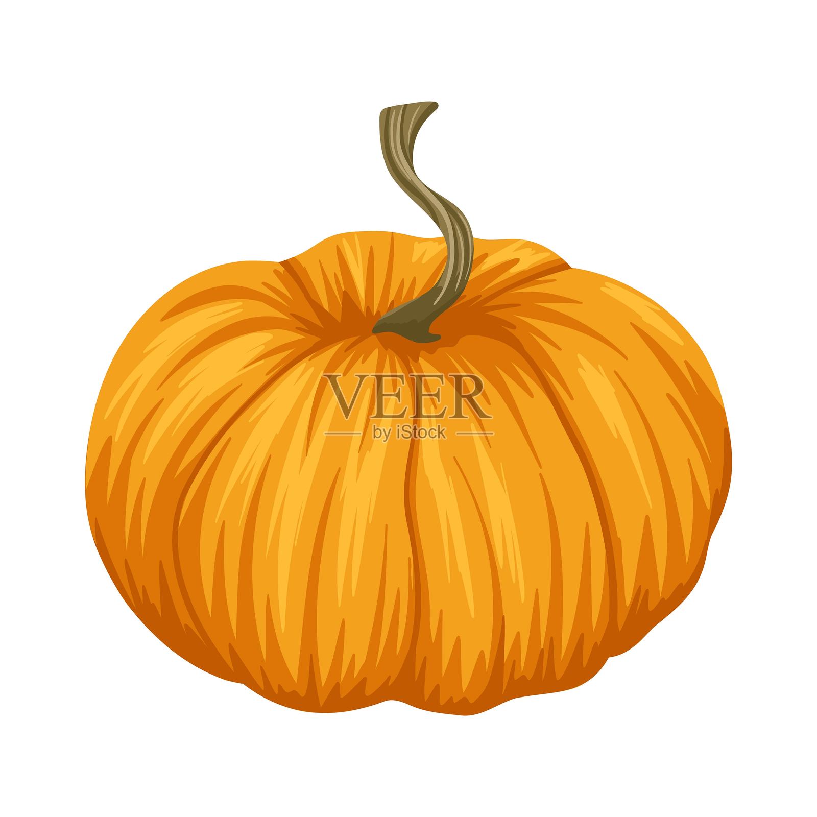 成熟的橙色南瓜，带有茎，孤立在白色背景上插画图片素材