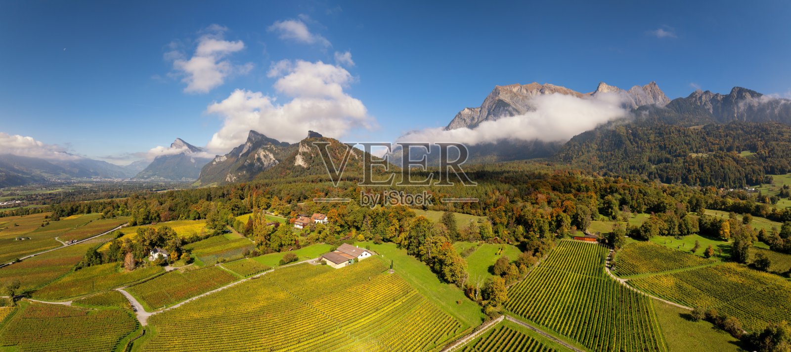 深秋时节，瑞士阿尔卑斯山迈恩费尔德附近的葡萄园和山脉景观照片摄影图片