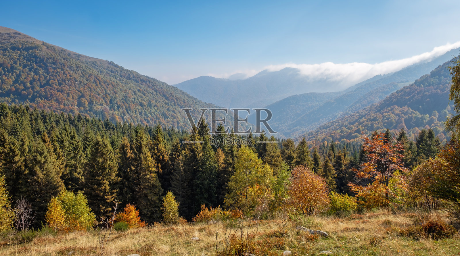 意大利比耶拉瓦尔迪拉纳：秋叶全景。彩色图像照片摄影图片