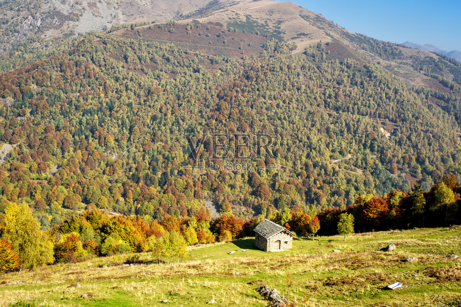 秋季山地牧场。彩色图像照片摄影图片