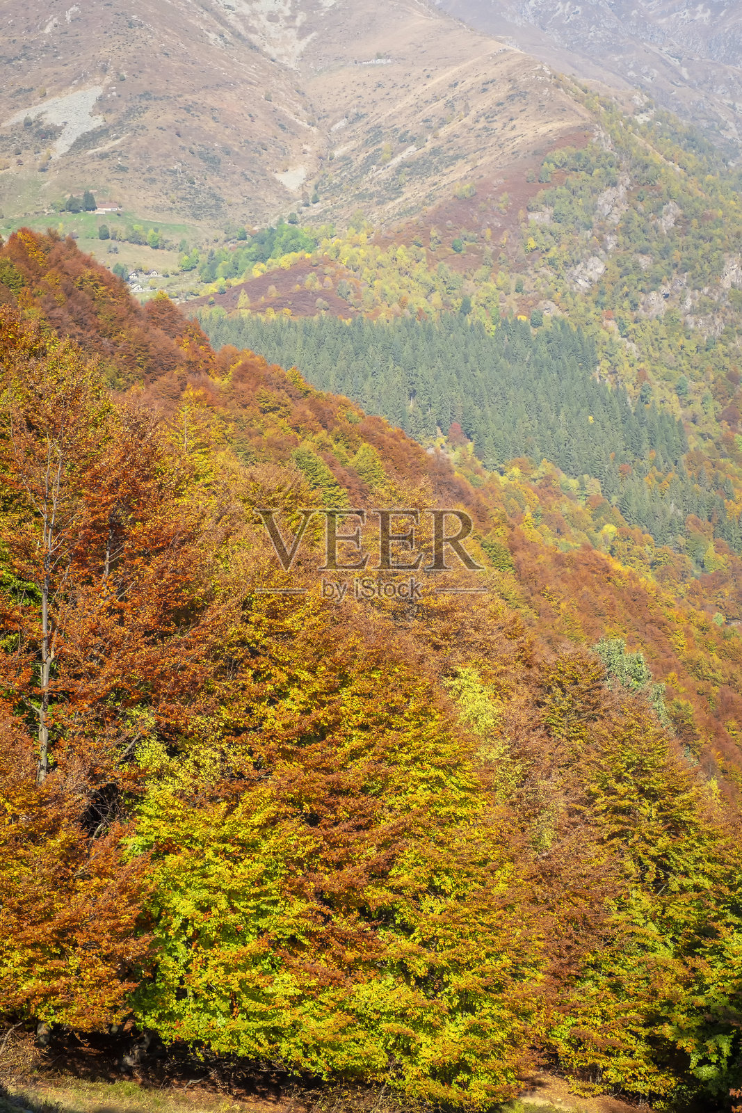 意大利比耶拉瓦尔迪拉纳：秋叶全景。彩色图像照片摄影图片