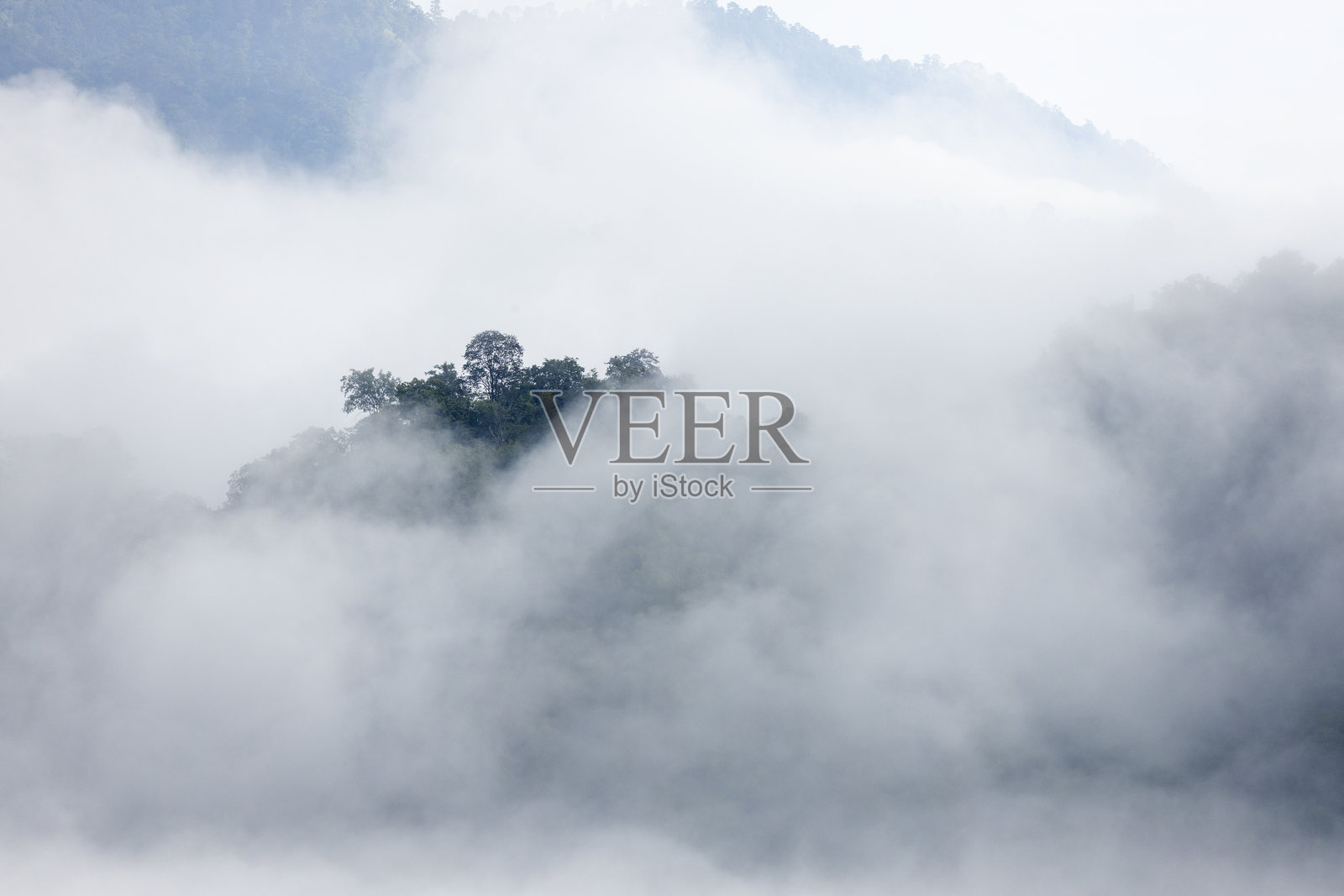 晨雾笼罩的山峦叠嶂，乡村丛林灌木中的山脊与云彩照片摄影图片