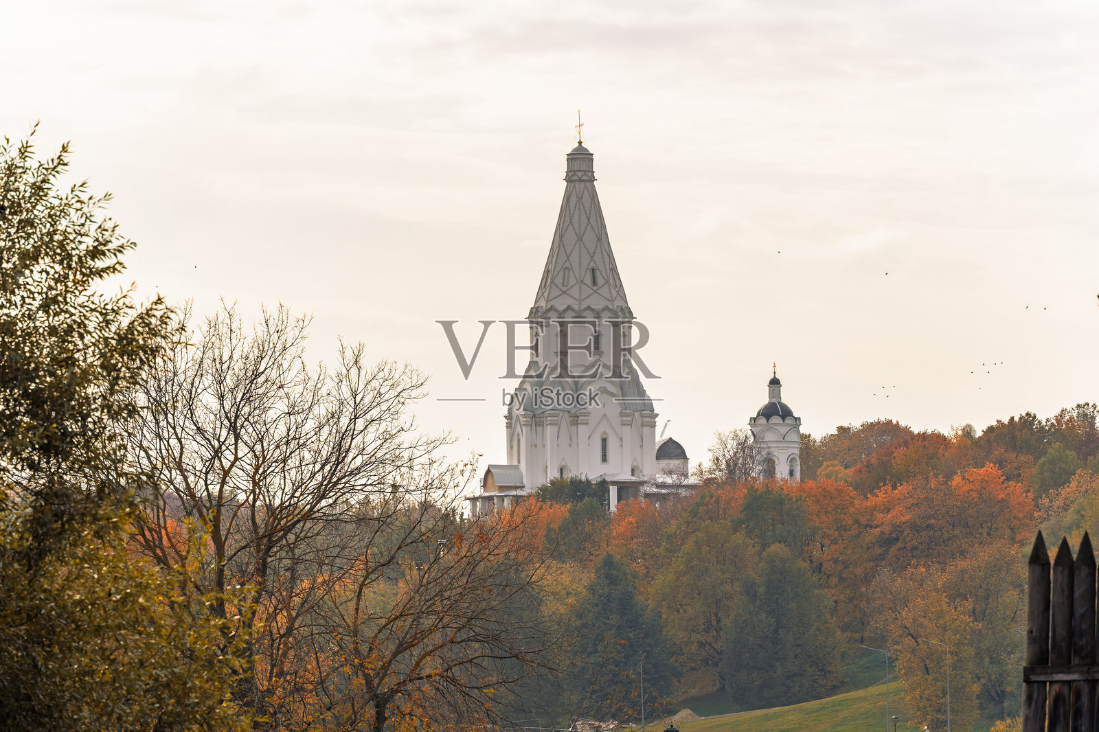 公园里的秋天树木照片摄影图片