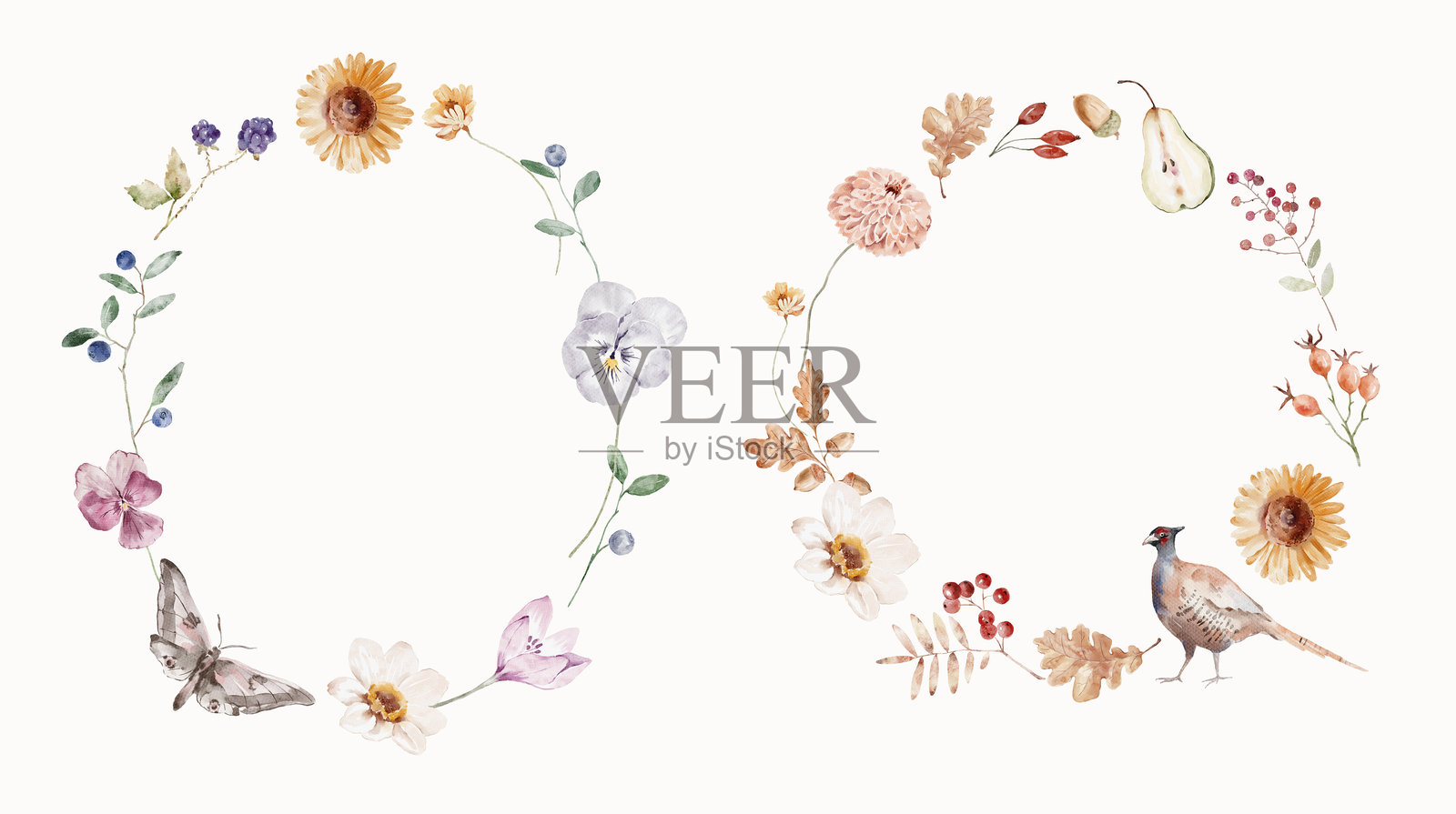 水彩植物插画花环，包含蝴蝶、花卉、野鸡和浆果。舒适的秋季设计。乡村风格的异想天开的复古元素，适用于邀请函、社交媒体和海报。插画图片素材