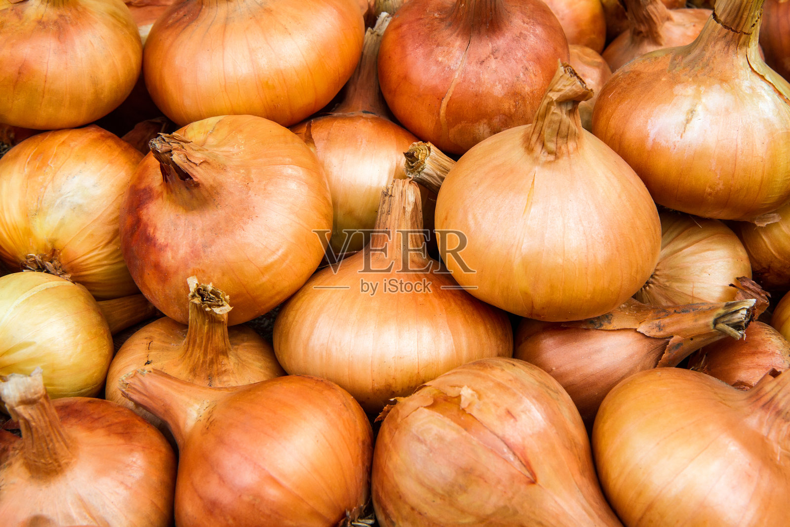 特写镜头下的大量自然灯泡照片摄影图片