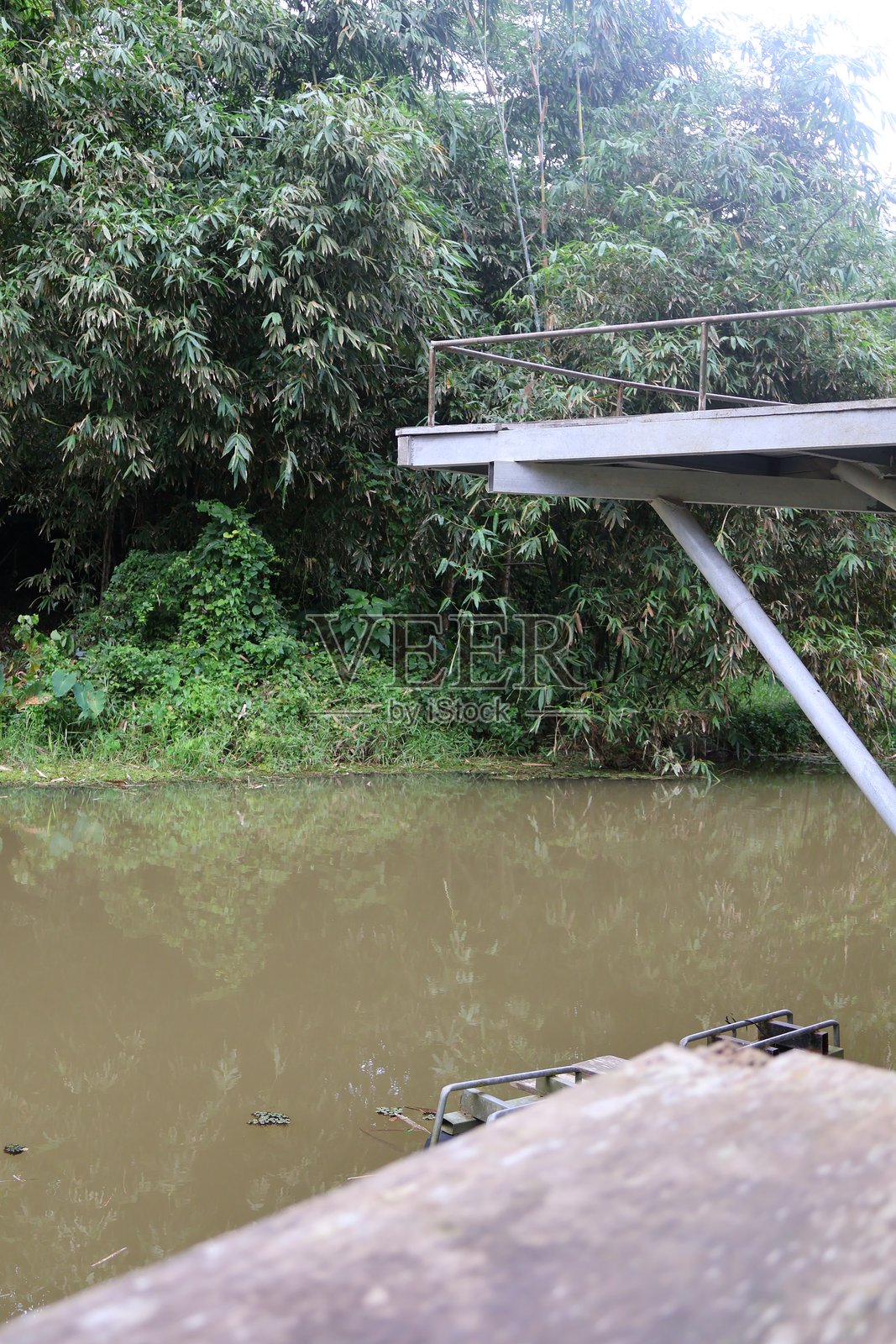 风景如画的河畔风光，水边绿意盎然，宁静的自然环境，非常适合放松和冥想。照片摄影图片