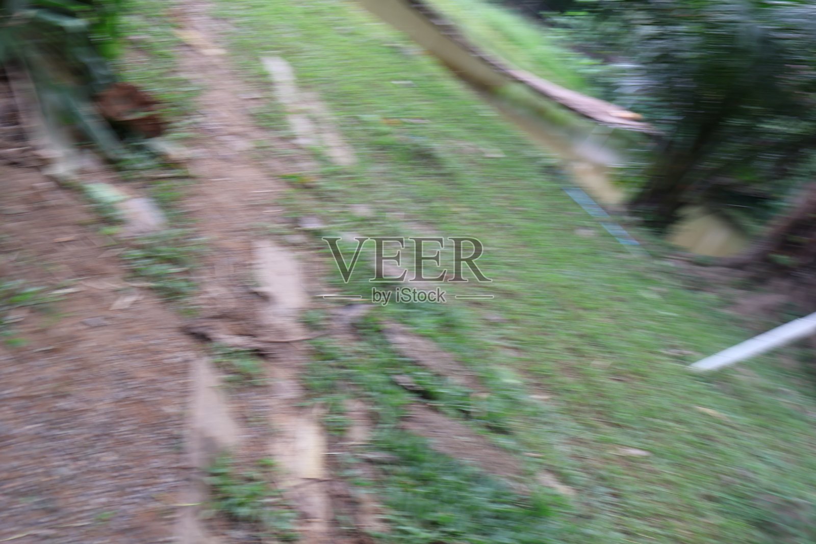 风景优美的自然小径，蜿蜒穿过葱郁的绿意，宁静的氛围非常适合徒步或放松，并留有复制空间。照片摄影图片