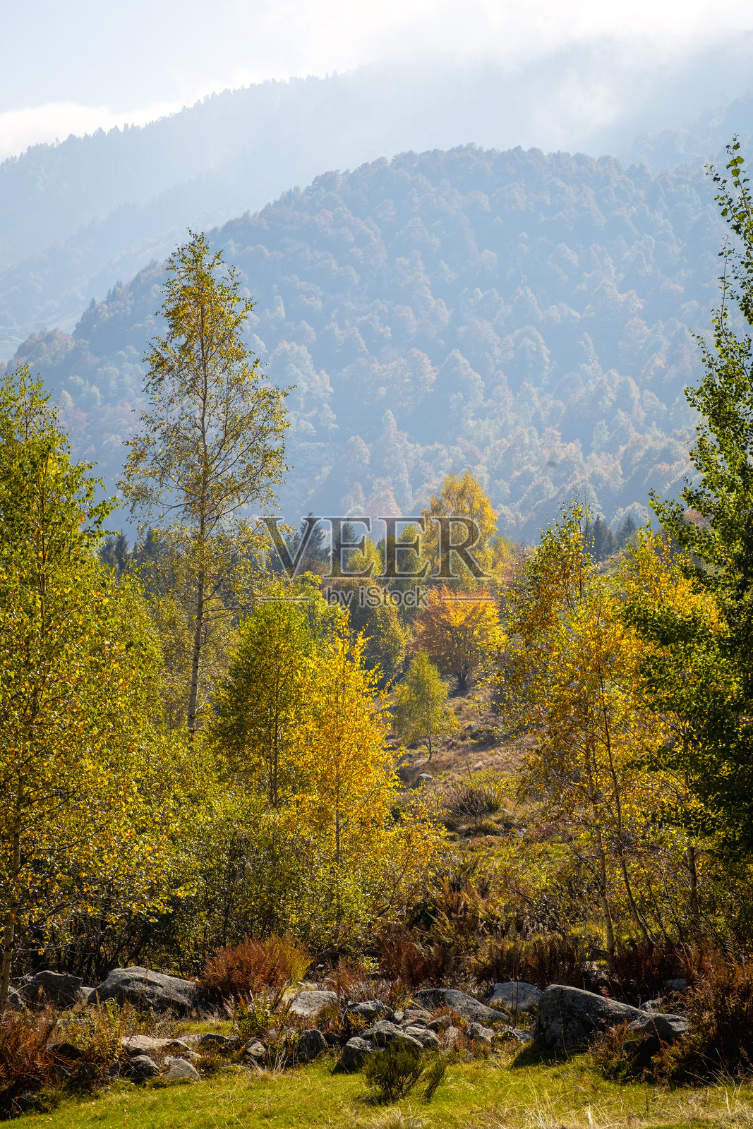 意大利比耶拉瓦尔迪拉纳：秋叶全景。彩色图像照片摄影图片