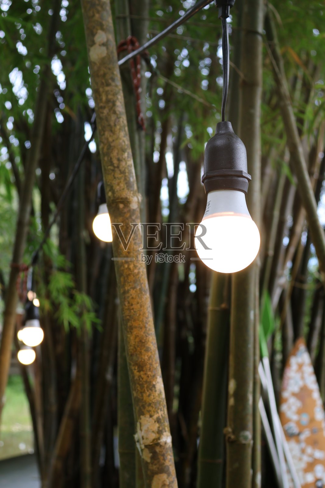 悬挂在树枝上的柔和发光球体，宁静的户外环境，温馨的氛围，非常适合夜晚聚会或庆祝活动。照片摄影图片