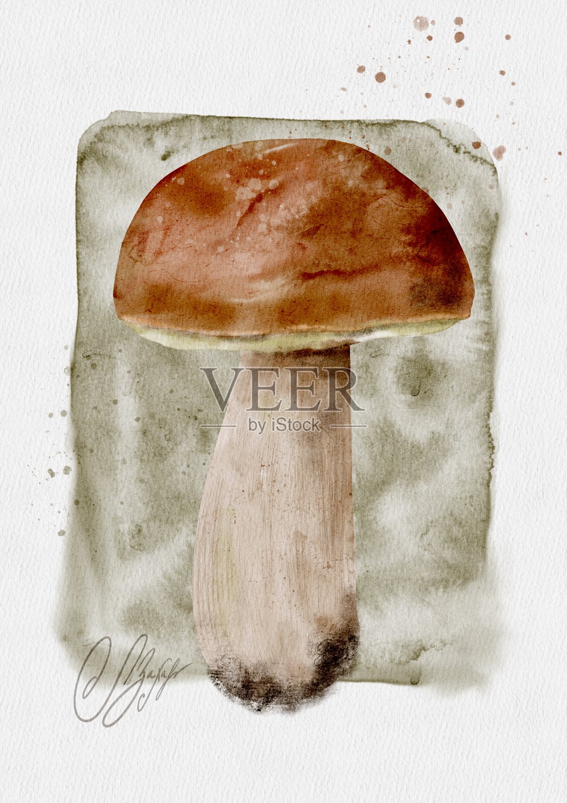 一张艺术水彩蘑菇插画，非常适合自然爱好者和喜爱者插画图片素材