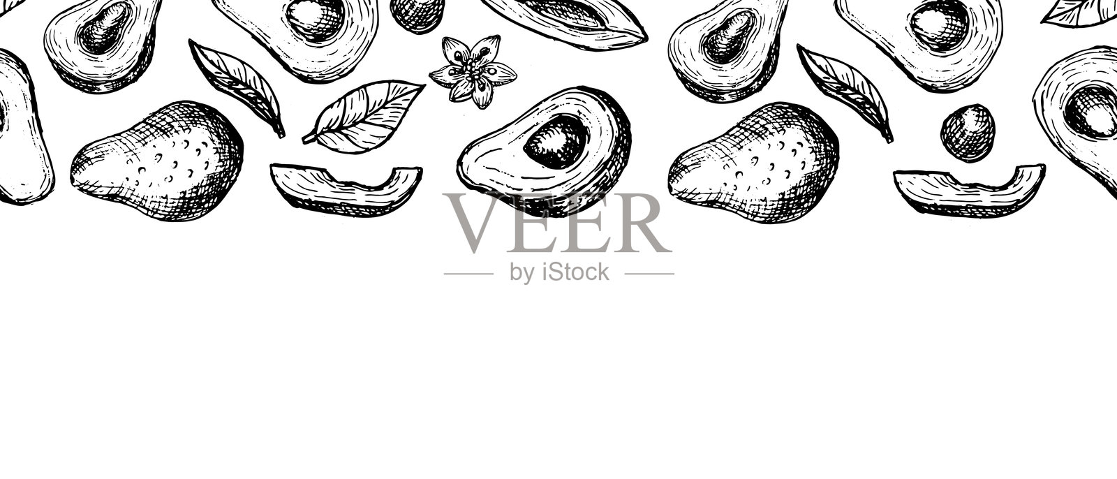 手绘牛油果边框，复古植物矢量插画插画图片素材