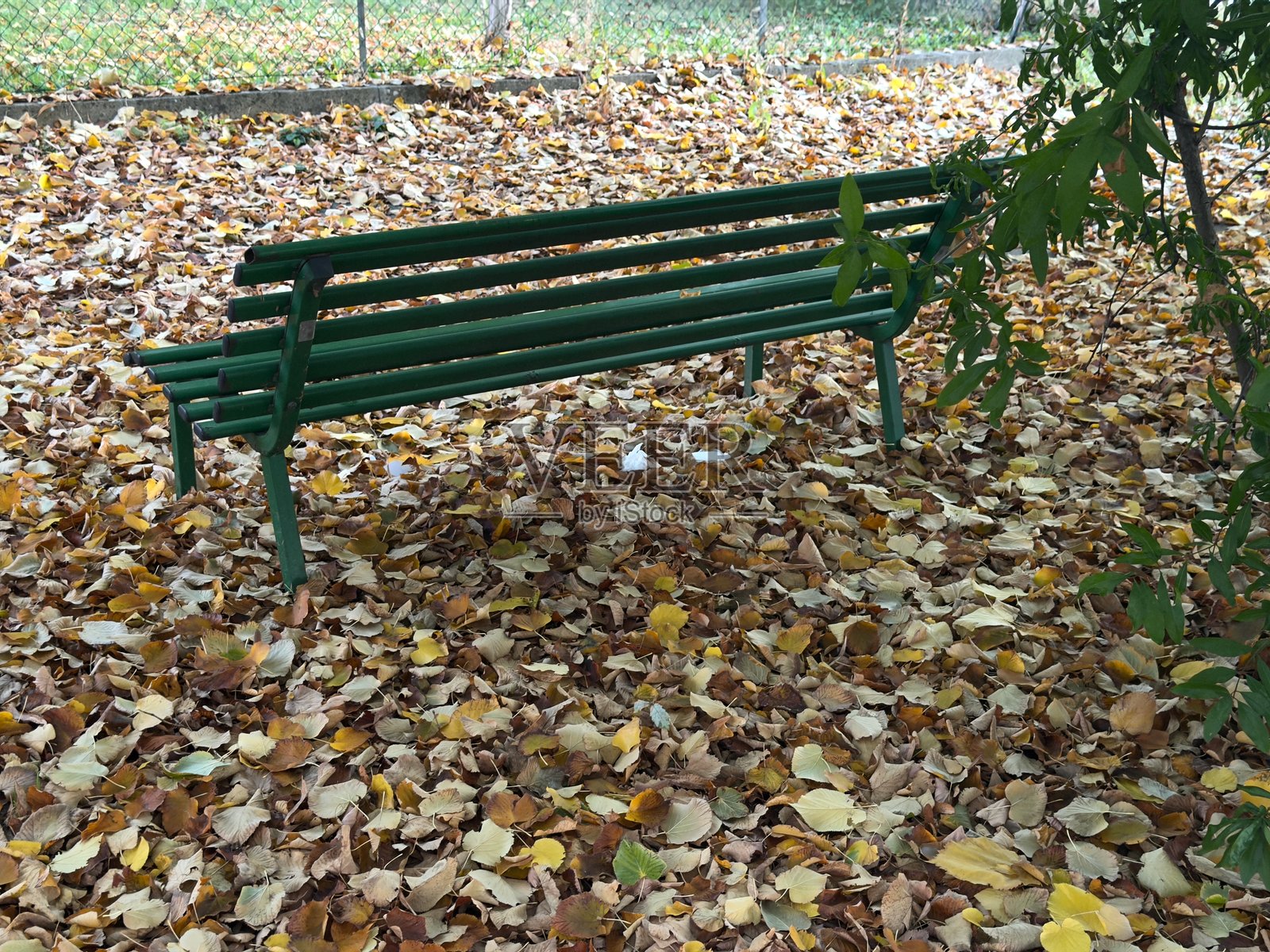 秋日公园里的长椅照片摄影图片