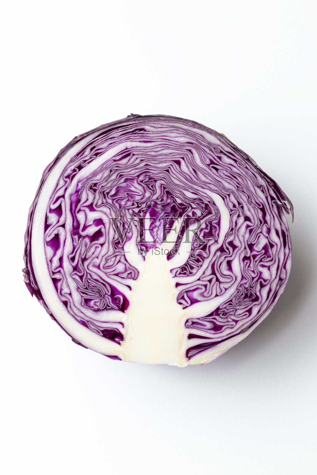紫甘蓝对半切开，置于白色背景上照片摄影图片