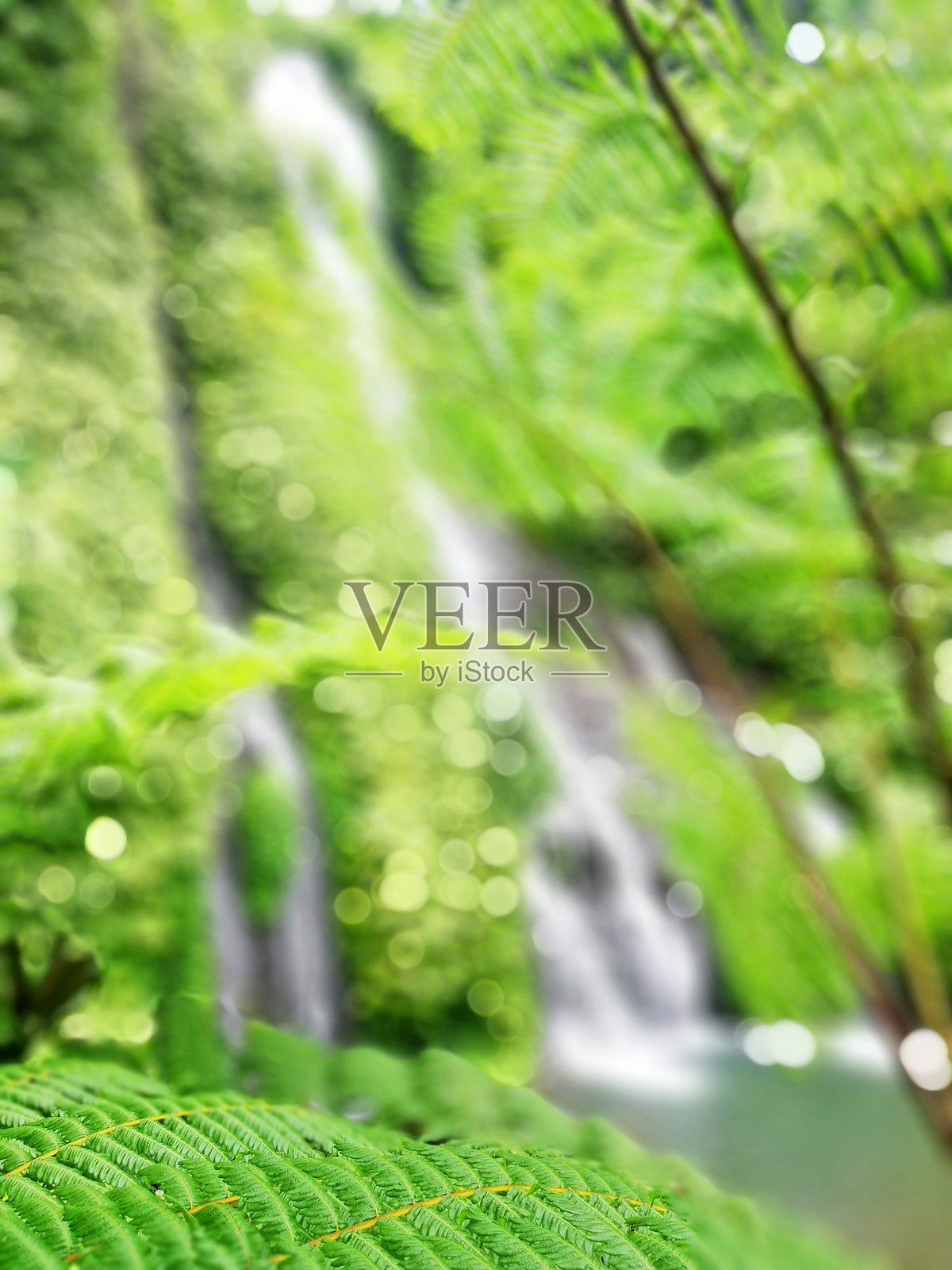 自然石材前景，模糊的自然背景。自然背景概念照片摄影图片