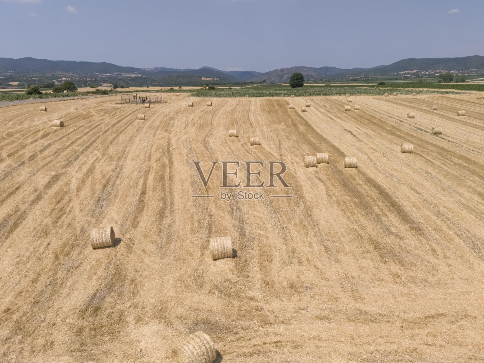 小型农业企业，食品生产，小麦照片摄影图片