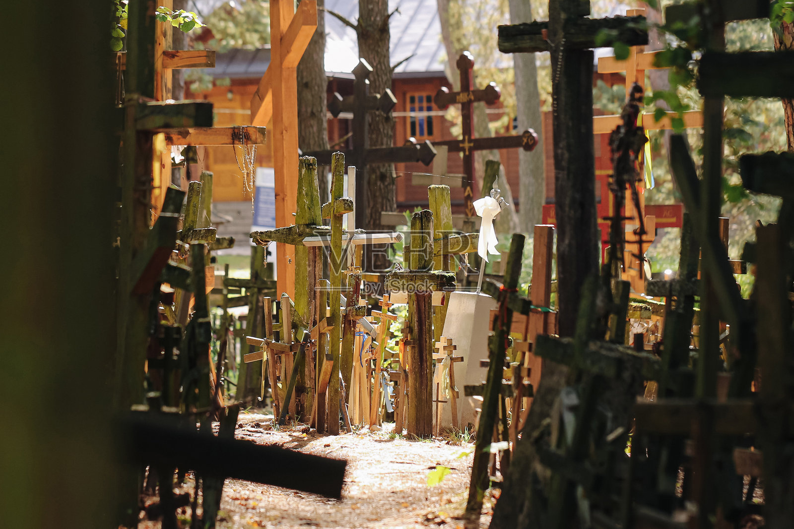 墓地里的旧木十字架。阳光下的忠实墓地。树林间的象征性木制纪念物。照片摄影图片