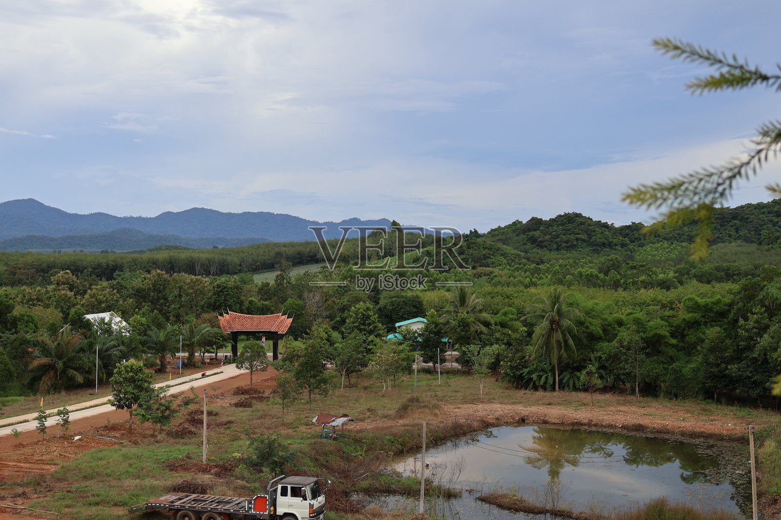 宁静的乡村风光，村庄掩映在葱郁的绿意之中，农田绵延至远方。照片摄影图片