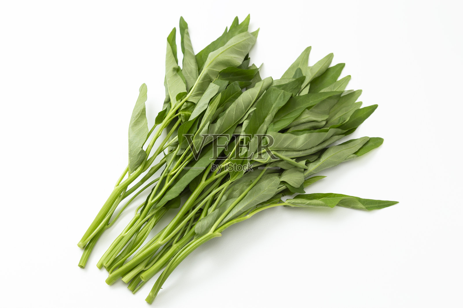 白底空心菜照片摄影图片