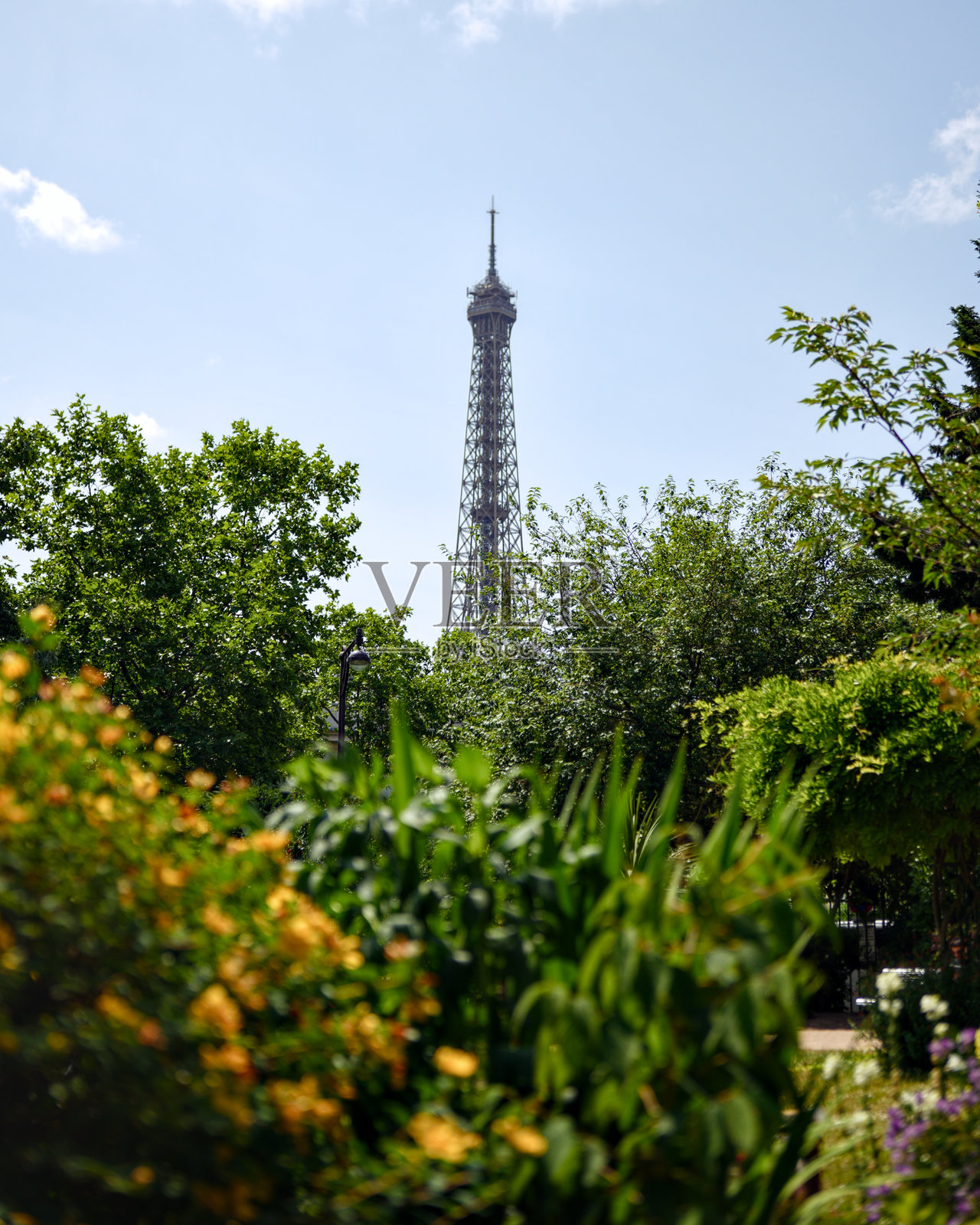 巴黎公园里，埃菲尔铁塔被茂密的绿色植物环绕照片摄影图片