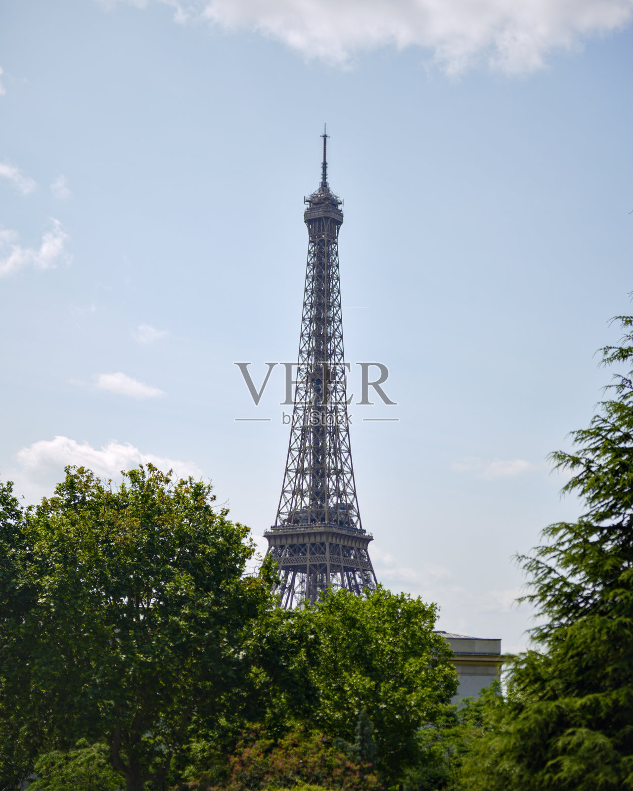 巴黎埃菲尔铁塔位于绿树和蓝天之上照片摄影图片