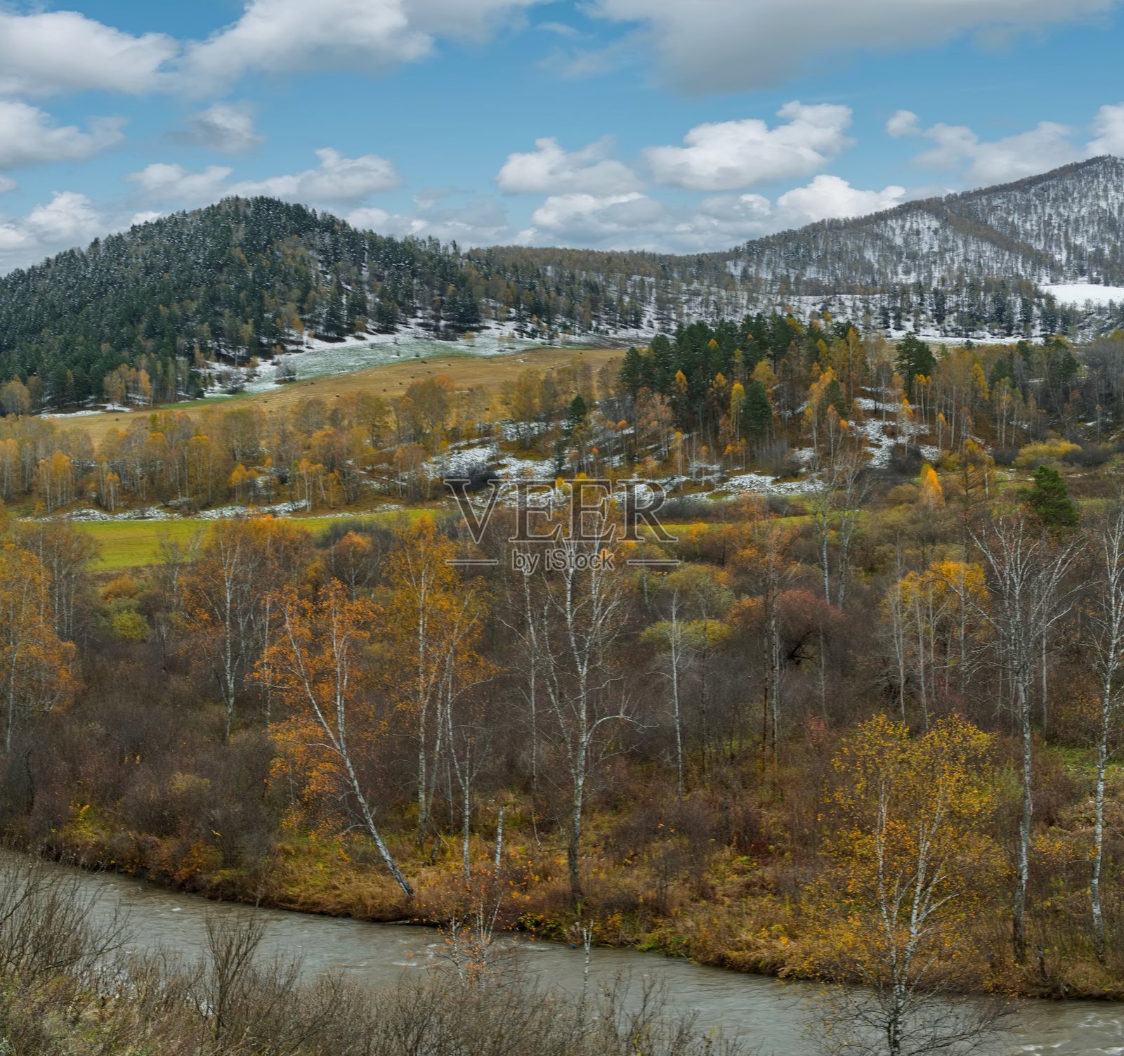 阿尔泰秋季的第一场雪照片摄影图片