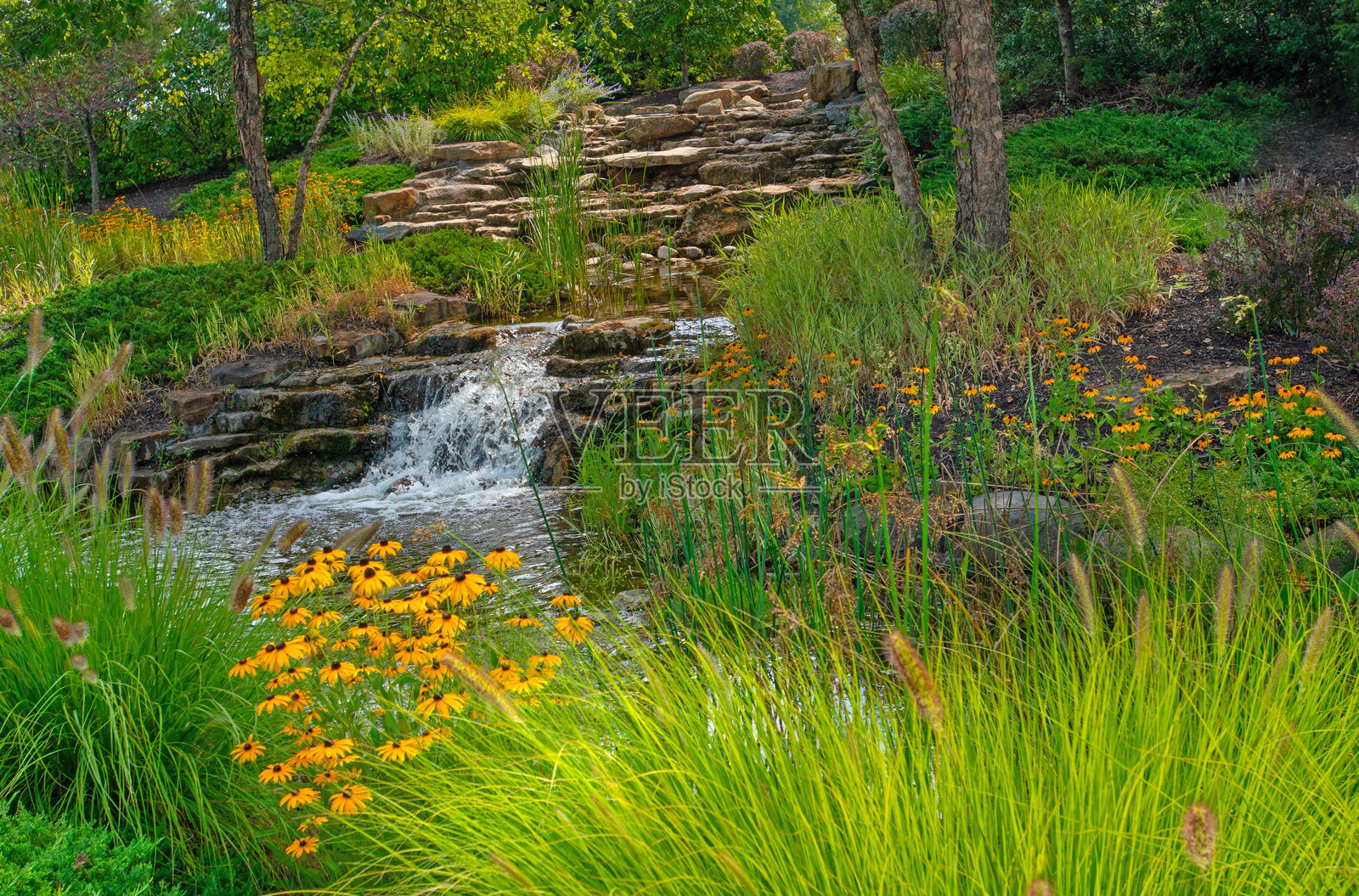 印第安纳州汉密尔顿县，小溪上的瀑布照片摄影图片