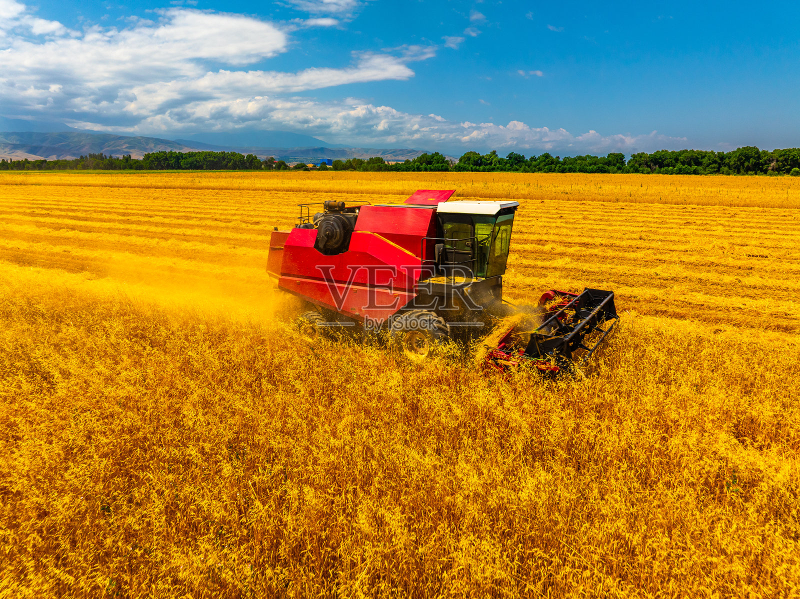 阳光明媚的农田里，联合收割机正在作业照片摄影图片