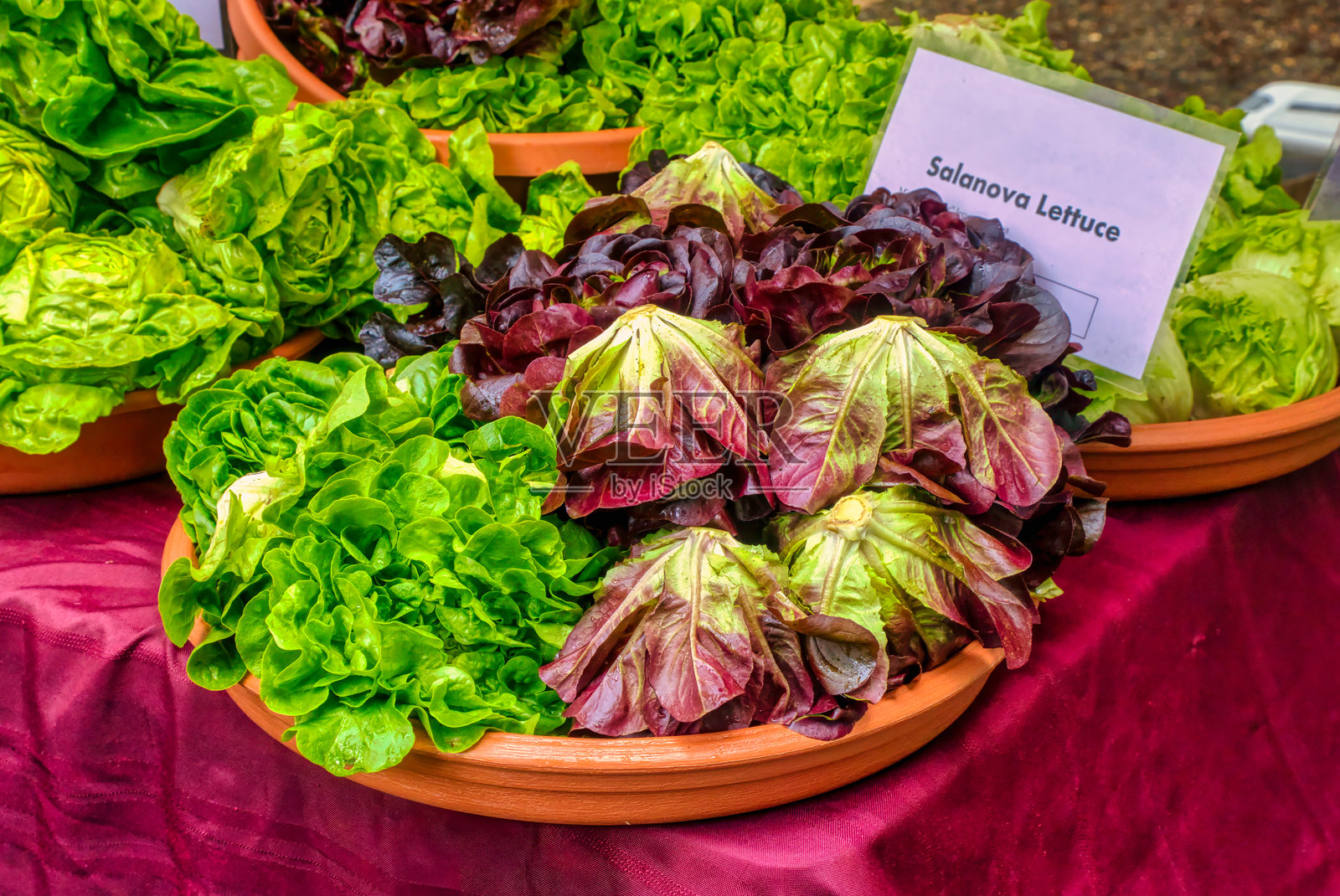 农贸市场上的萨拉诺瓦生菜照片摄影图片