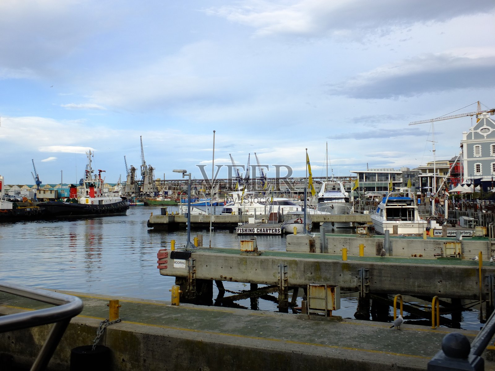 南非开普敦的海滨照片摄影图片