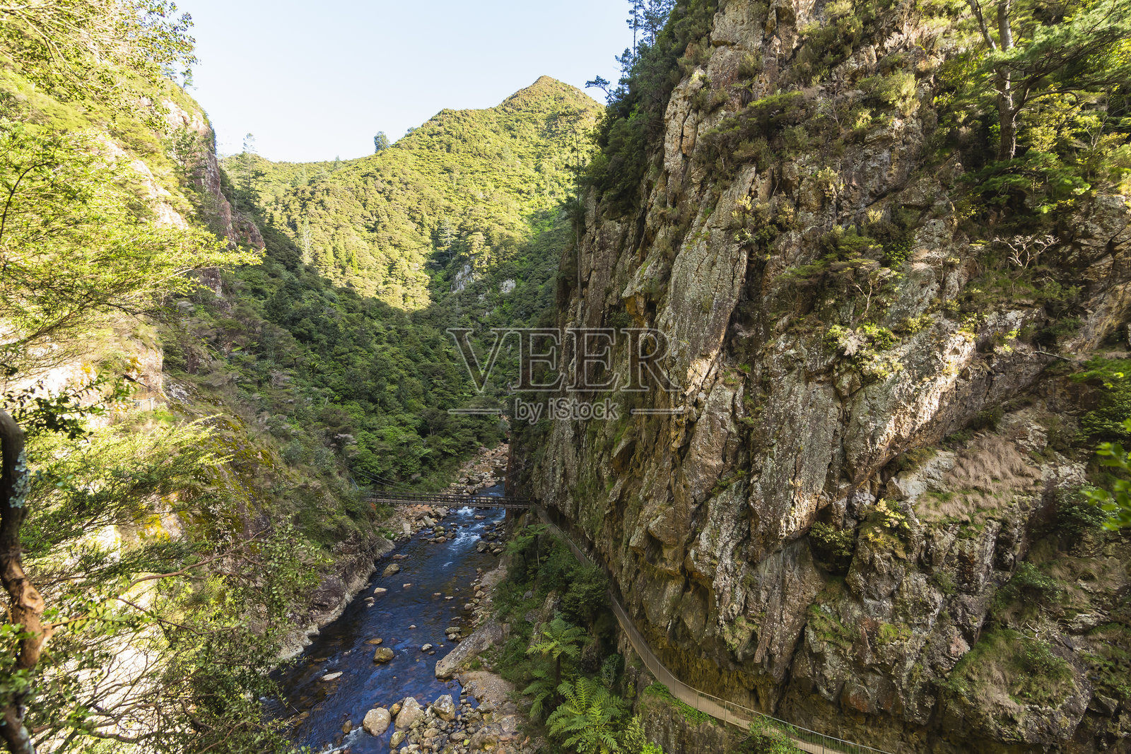 新西兰科罗曼德尔附近卡兰加哈克峡谷流经奥希内穆里河的悬索桥照片摄影图片