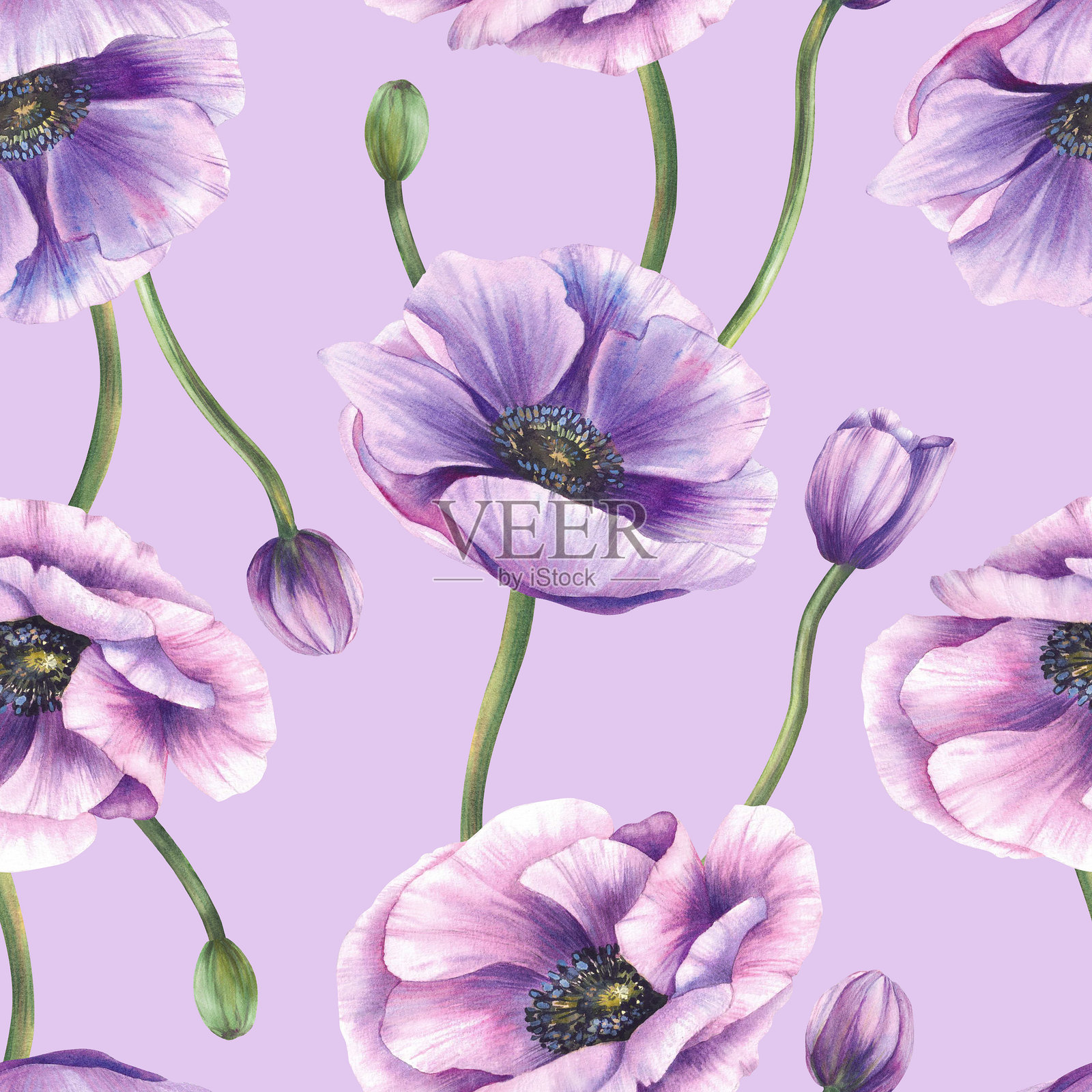 紫色的海葵花，带绿色的茎和粉色的花苞，水彩花卉无缝图案。手绘。插画图片素材