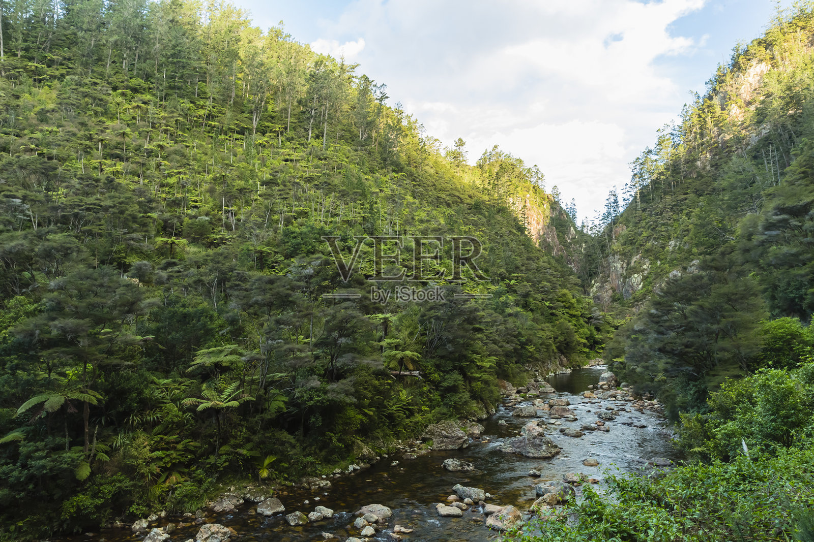 奥希内穆里河在新西兰科罗曼德尔附近的卡兰加哈基峡谷中流淌照片摄影图片