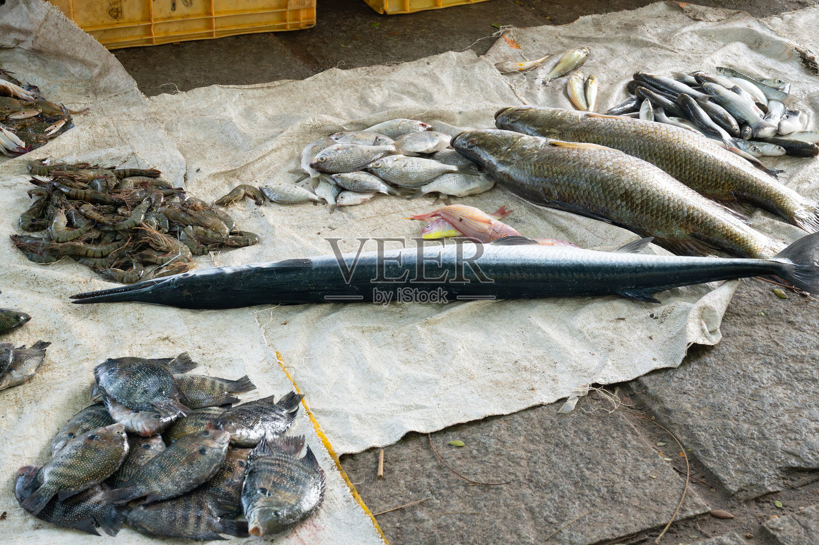 印度科钦市场上的各种鱼类，新鲜海鲜的售卖摊位，阿拉伯海的渔业照片摄影图片